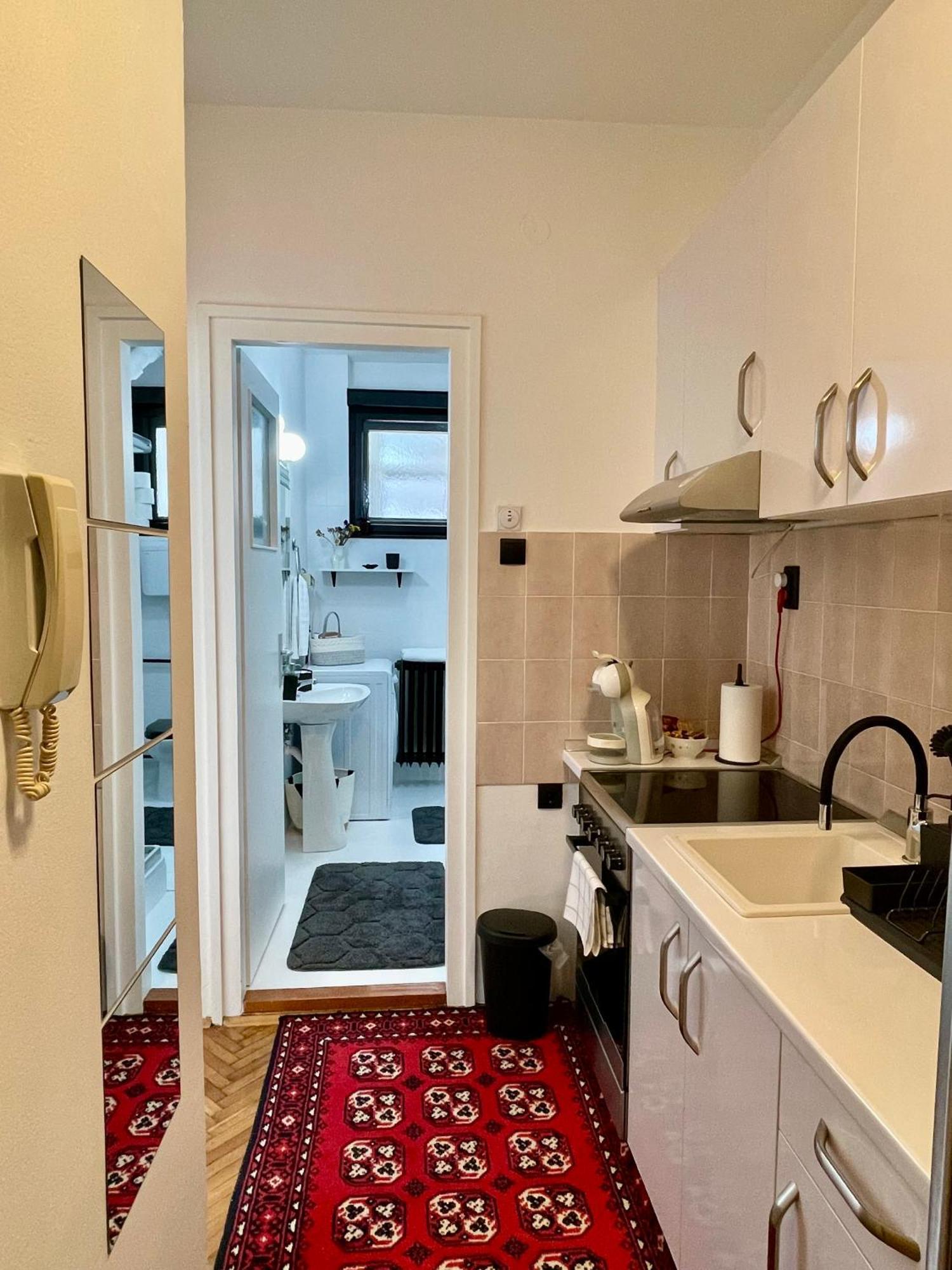 Apartment Mirochka Belgrade Luaran gambar
