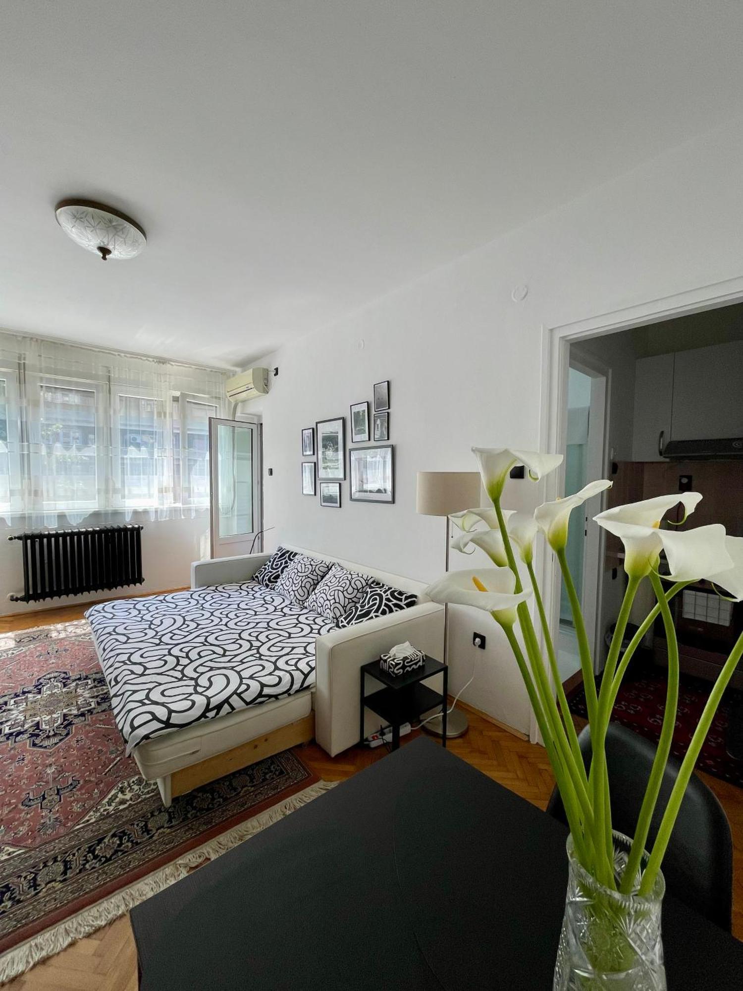 Apartment Mirochka Belgrade Luaran gambar